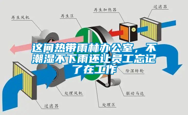 這間熱帶雨林辦公室，不潮濕不下雨還讓員工忘記了在工作