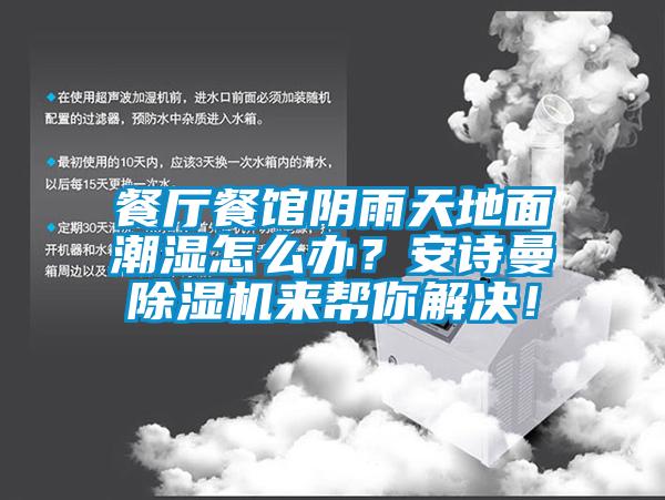餐廳餐館陰雨天地面潮濕怎么辦？安詩曼除濕機(jī)來幫你解決！