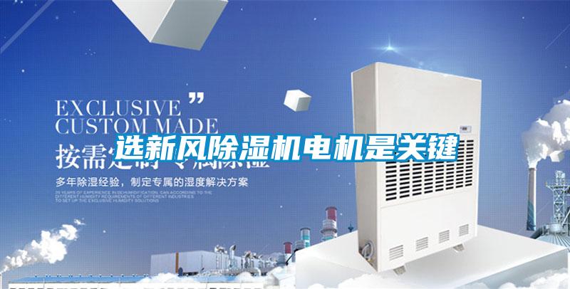 選新風(fēng)除濕機電機是關(guān)鍵