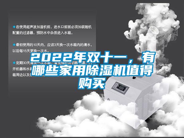 2022年雙十一，有哪些家用除濕機(jī)值得購買