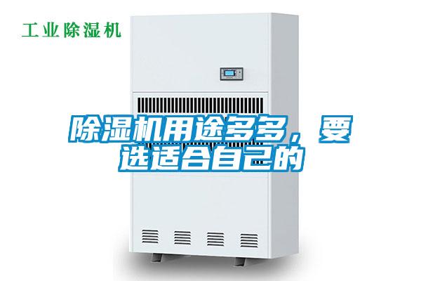 除濕機用途多多，要選適合自己的