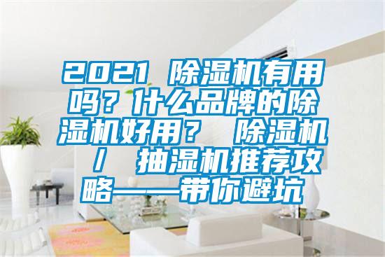 2021 除濕機有用嗎？什么品牌的除濕機好用？ 除濕機 ／ 抽濕機推薦攻略——帶你避坑