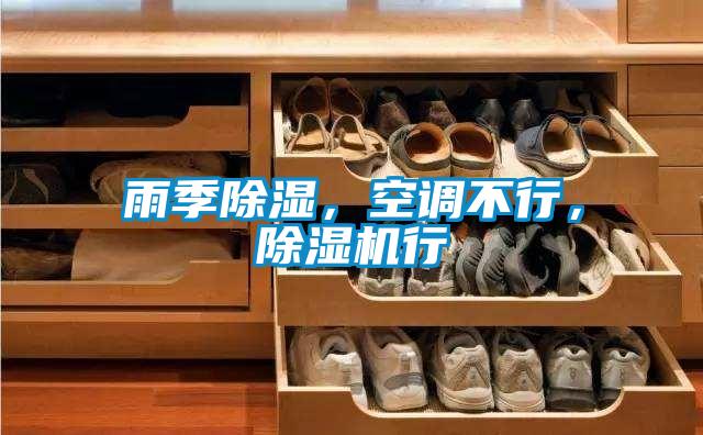雨季除濕，空調(diào)不行，除濕機(jī)行