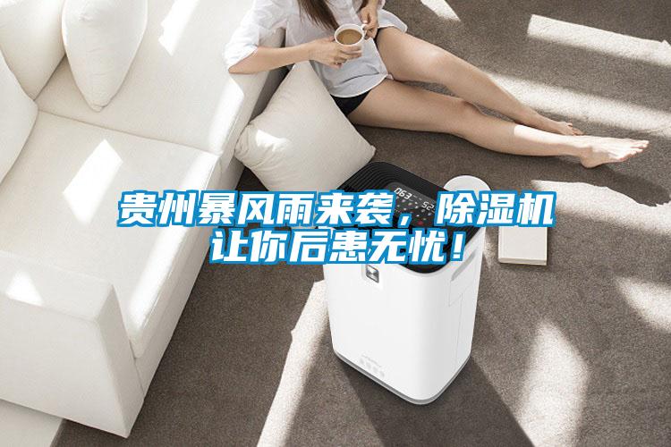 貴州暴風(fēng)雨來襲，除濕機(jī)讓你后患無(wú)憂！
