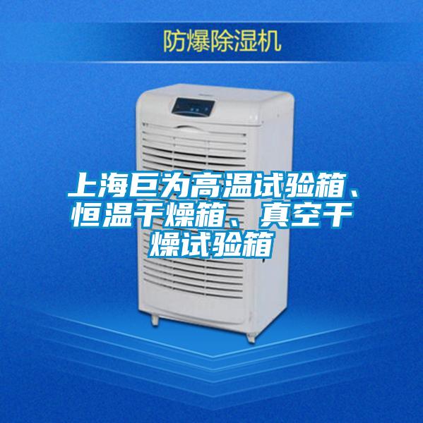 上海巨為高溫試驗箱、恒溫干燥箱、真空干燥試驗箱