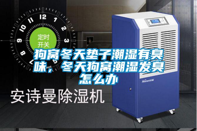 狗窩冬天墊子潮濕有臭味，冬天狗窩潮濕發(fā)臭怎么辦