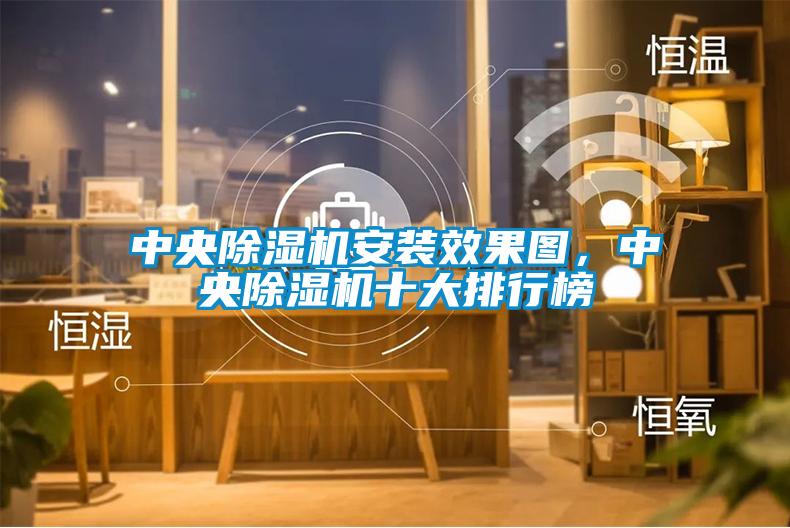 中央除濕機(jī)安裝效果圖，中央除濕機(jī)十大排行榜