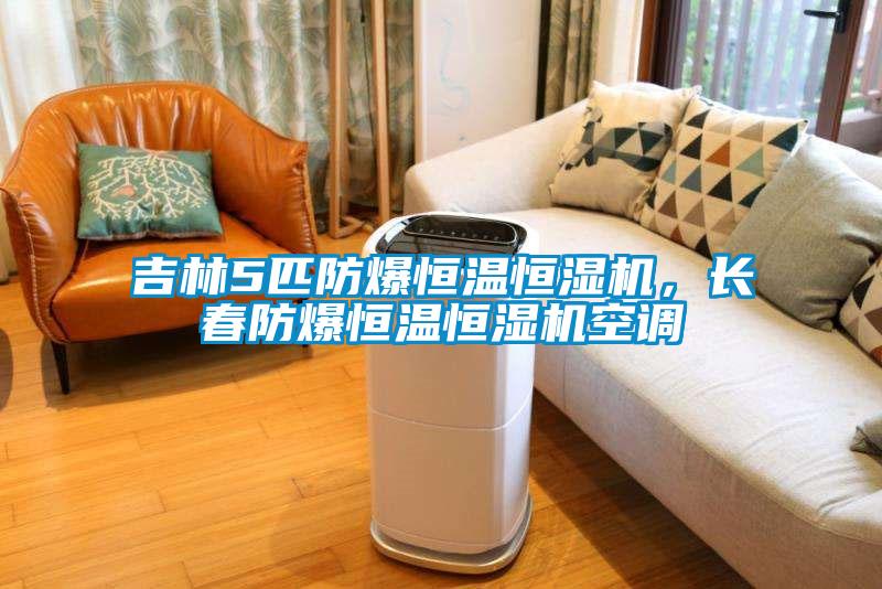 吉林5匹防爆恒溫恒濕機，長春防爆恒溫恒濕機空調(diào)