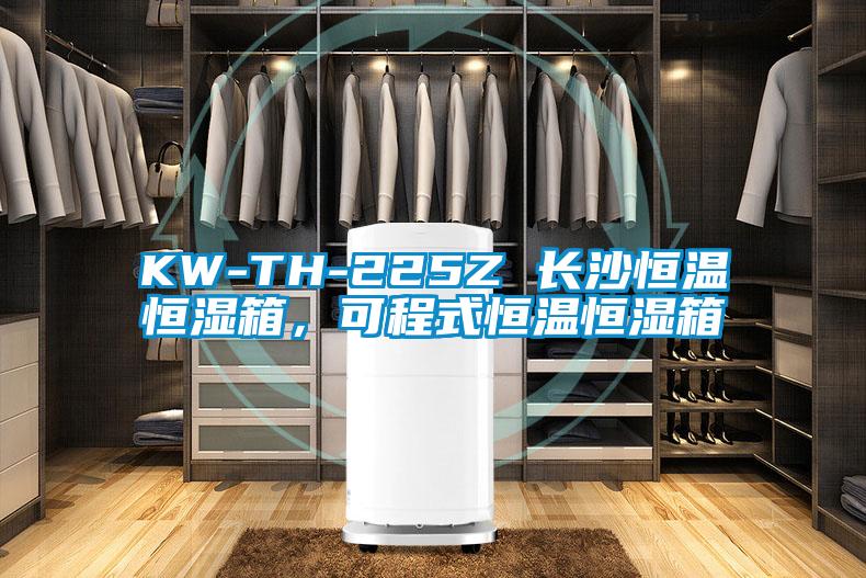 KW-TH-225Z 長(zhǎng)沙恒溫恒濕箱，可程式恒溫恒濕箱