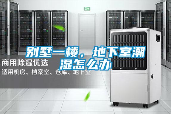別墅一樓，地下室潮濕怎么辦