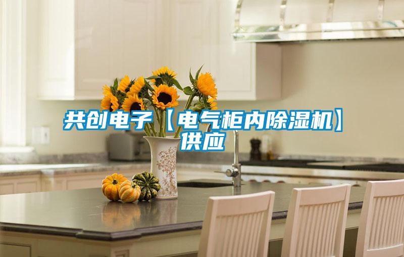 共創(chuàng)電子【電氣柜內(nèi)除濕機】供應
