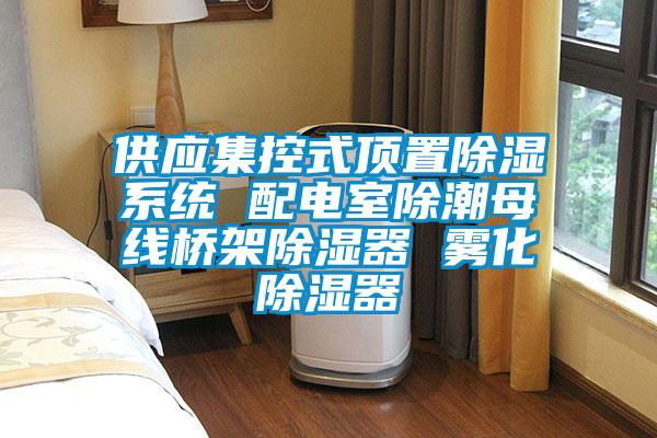 供應集控式頂置除濕系統(tǒng) 配電室除潮母線橋架除濕器 霧化除濕器