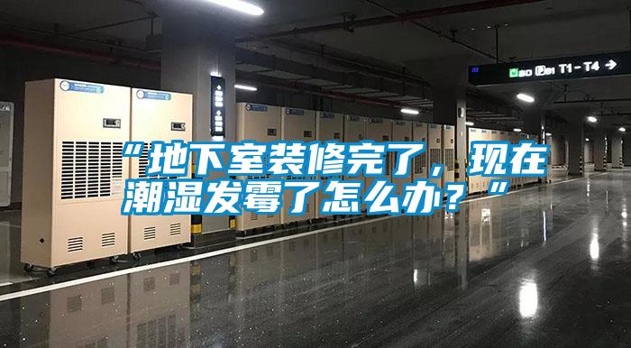 “地下室裝修完了，現(xiàn)在潮濕發(fā)霉了怎么辦？”