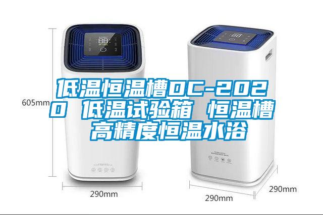 低溫恒溫槽DC-2020 低溫試驗(yàn)箱 恒溫槽 高精度恒溫水浴