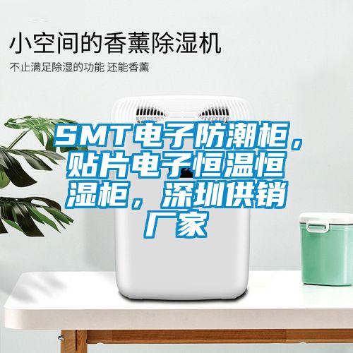 SMT電子防潮柜，貼片電子恒溫恒濕柜，深圳供銷廠家