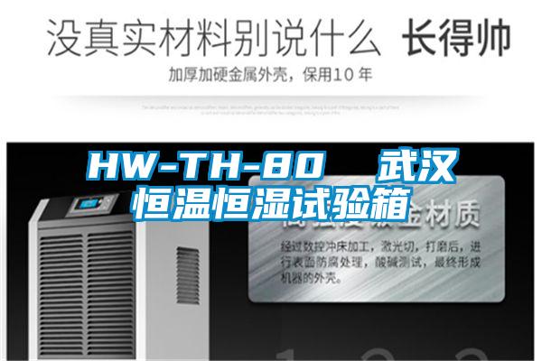 HW-TH-80 武漢恒溫恒濕試驗(yàn)箱