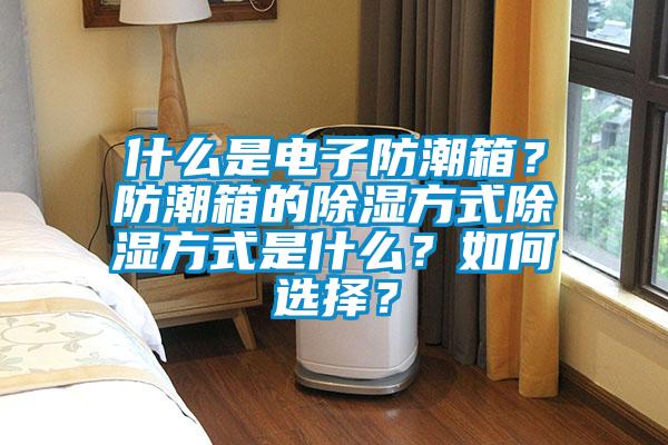 什么是電子防潮箱？防潮箱的除濕方式除濕方式是什么？如何選擇？