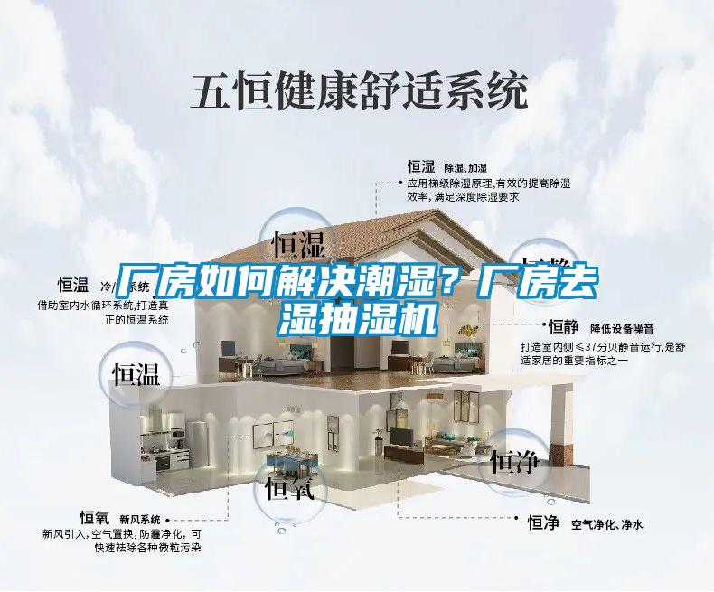 廠房如何解決潮濕？廠房去濕抽濕機(jī)