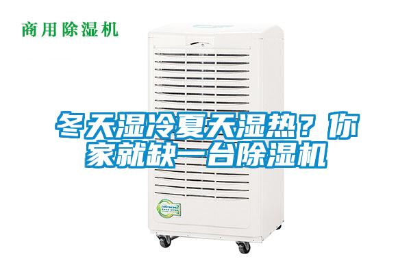 冬天濕冷夏天濕熱？你家就缺一臺除濕機
