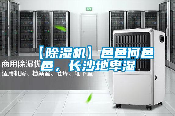 【除濕機】邑邑何邑邑，長沙地卑濕