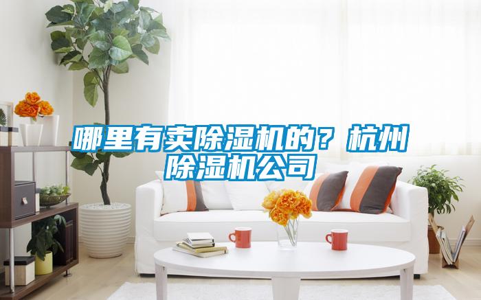 哪里有賣(mài)除濕機(jī)的？杭州除濕機(jī)公司