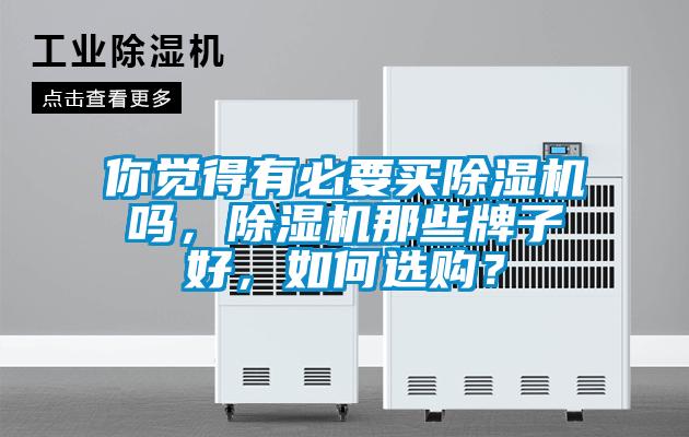 你覺得有必要買除濕機嗎，除濕機那些牌子好，如何選購？
