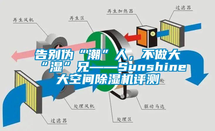 告別偽“潮”人，不做大“濕”兄——Sunshine大空間除濕機(jī)評(píng)測(cè)