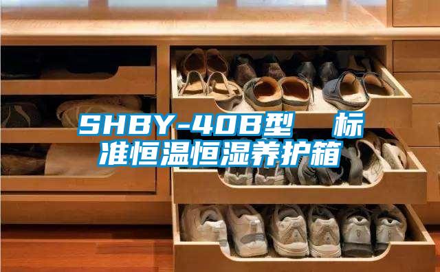 SHBY-40B型 標(biāo)準(zhǔn)恒溫恒濕養(yǎng)護(hù)箱