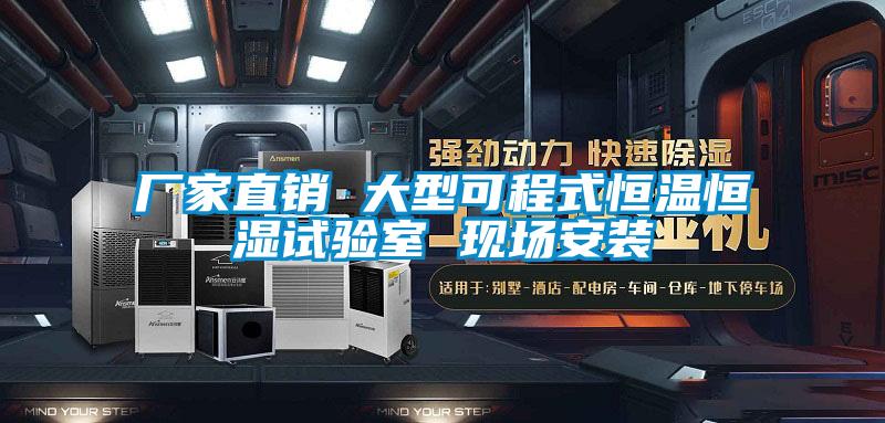 廠家直銷(xiāo) 大型可程式恒溫恒濕試驗(yàn)室 現(xiàn)場(chǎng)安裝