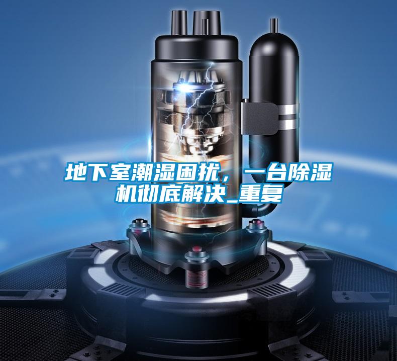地下室潮濕困擾,一臺(tái)除濕機(jī)徹底解決_重復(fù)