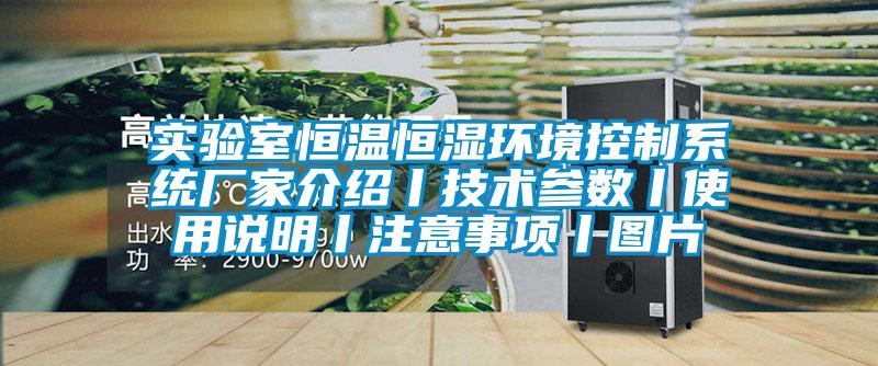 實(shí)驗(yàn)室恒溫恒濕環(huán)境控制系統(tǒng)廠家介紹丨技術(shù)參數(shù)丨使用說明丨注意事項(xiàng)丨圖片