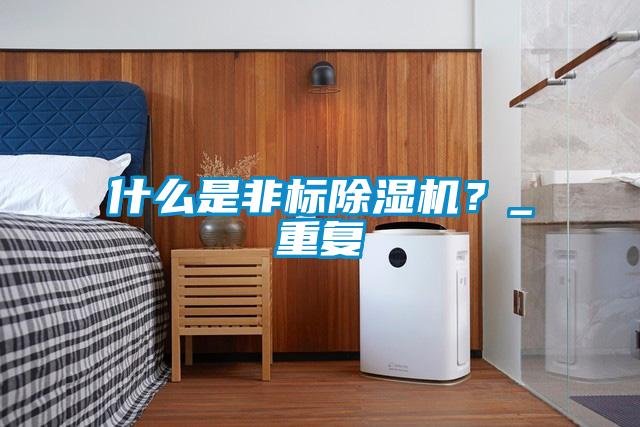 什么是非標(biāo)除濕機？_重復(fù)