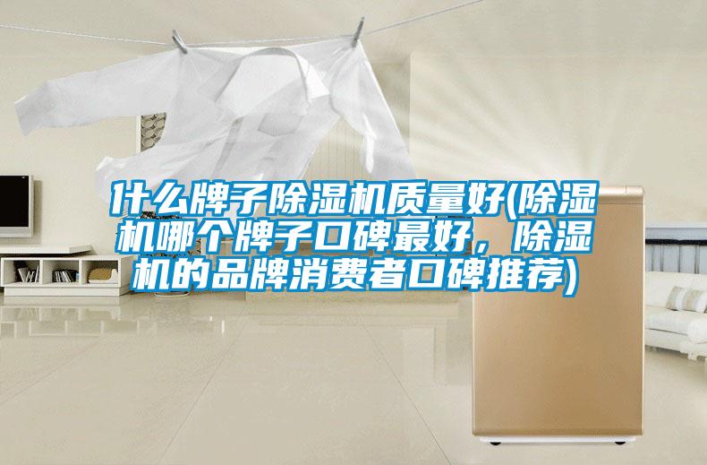 什么牌子除濕機(jī)質(zhì)量好(除濕機(jī)哪個牌子口碑最好，除濕機(jī)的品牌消費(fèi)者口碑推薦)