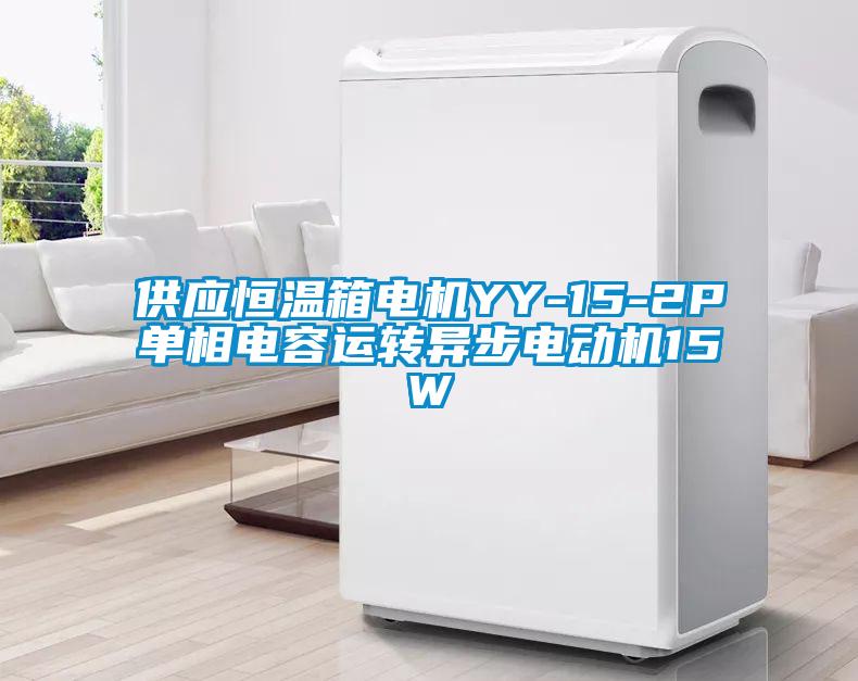 供應(yīng)恒溫箱電機YY-15-2P單相電容運轉(zhuǎn)異步電動機15W