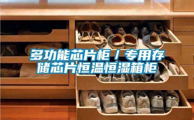 多功能芯片柜/專用存儲(chǔ)芯片恒溫恒濕箱柜