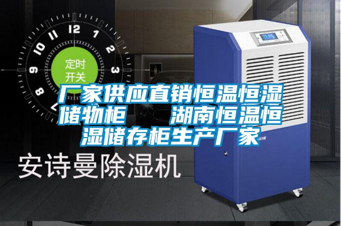 廠家供應直銷恒溫恒濕儲物柜 湖南恒溫恒濕儲存柜生產(chǎn)廠家