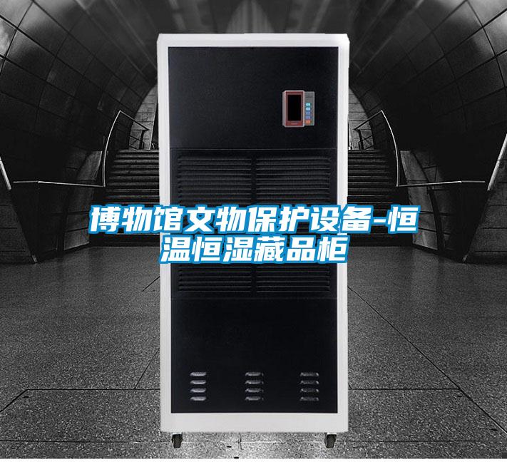 博物館文物保護設(shè)備-恒溫恒濕藏品柜