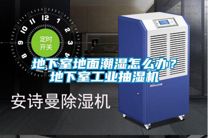 地下室地面潮濕怎么辦？地下室工業(yè)抽濕機