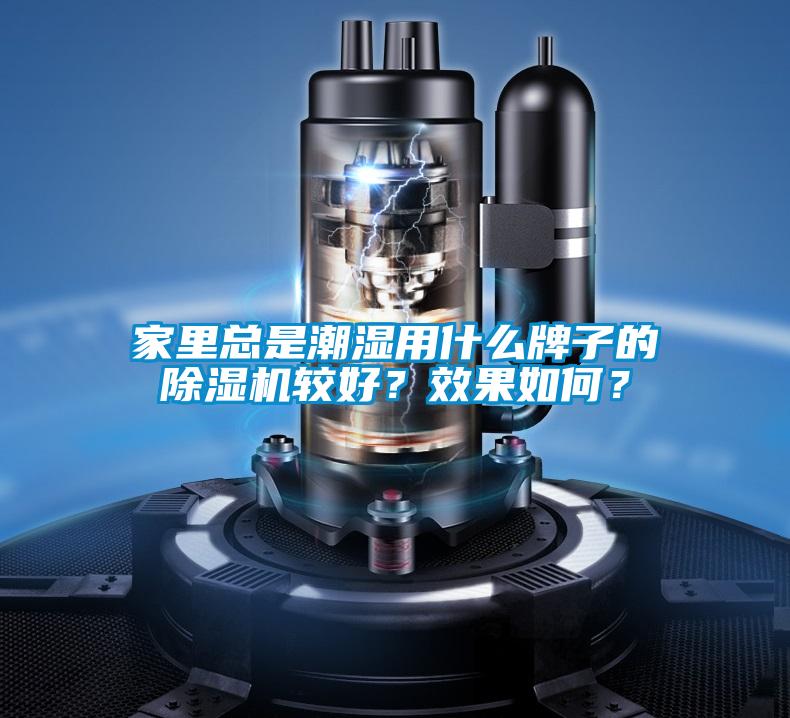 家里總是潮濕用什么牌子的除濕機(jī)較好？效果如何？