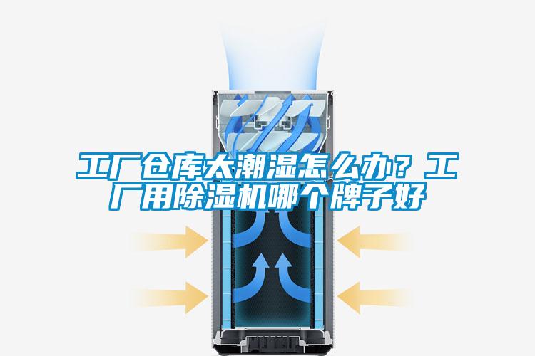 工廠倉庫太潮濕怎么辦?工廠用除濕機(jī)哪個牌子好