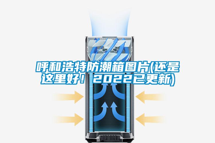 呼和浩特防潮箱圖片(還是這里好！2022已更新)