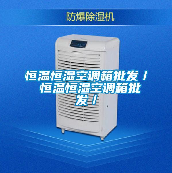 恒溫恒濕空調箱批發(fā)／ 恒溫恒濕空調箱批發(fā)／