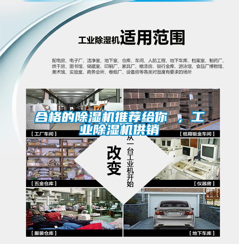 合格的除濕機(jī)推薦給你 ，工業(yè)除濕機(jī)供銷