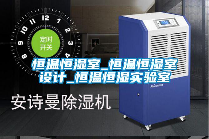 恒溫恒濕室_恒溫恒濕室設(shè)計_恒溫恒濕實驗室