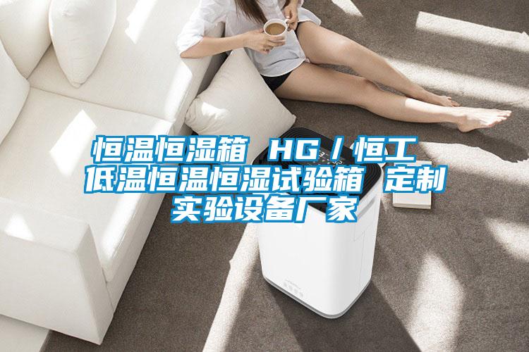 恒溫恒濕箱 HG／恒工 低溫恒溫恒濕試驗箱 定制實驗設(shè)備廠家