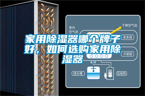 家用除濕器哪個(gè)牌子好，如何選購(gòu)家用除濕器