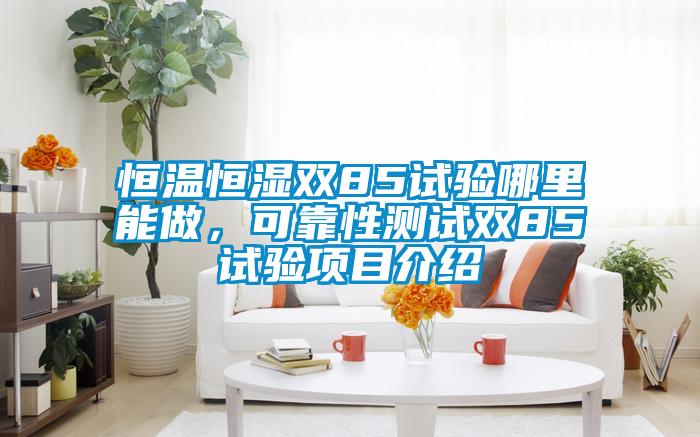 恒溫恒濕雙85試驗哪里能做，可靠性測試雙85試驗項目介紹