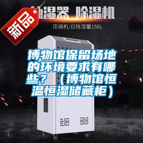 博物館保留場地的環(huán)境要求有哪些？（博物館恒溫恒濕儲藏柜）