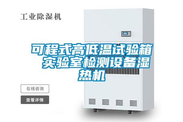 可程式高低溫試驗(yàn)箱 實(shí)驗(yàn)室檢測(cè)設(shè)備濕熱機(jī)