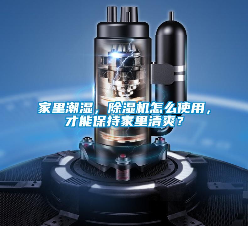 家里潮濕，除濕機(jī)怎么使用，才能保持家里清爽？